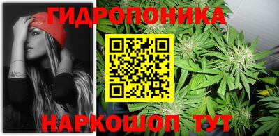 соль курить ск Кингисепп