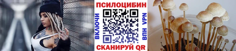 Галлюциногенные грибы ЛСД  Нижнеудинск 