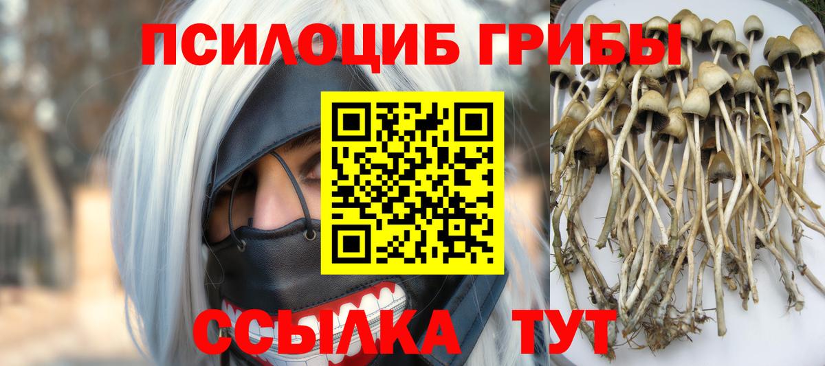 Нижнеудинск  Галлюциногенные грибы Psilocybine cubensis  Псилоцибиновые грибы Magic Shrooms  Вход с VPN 