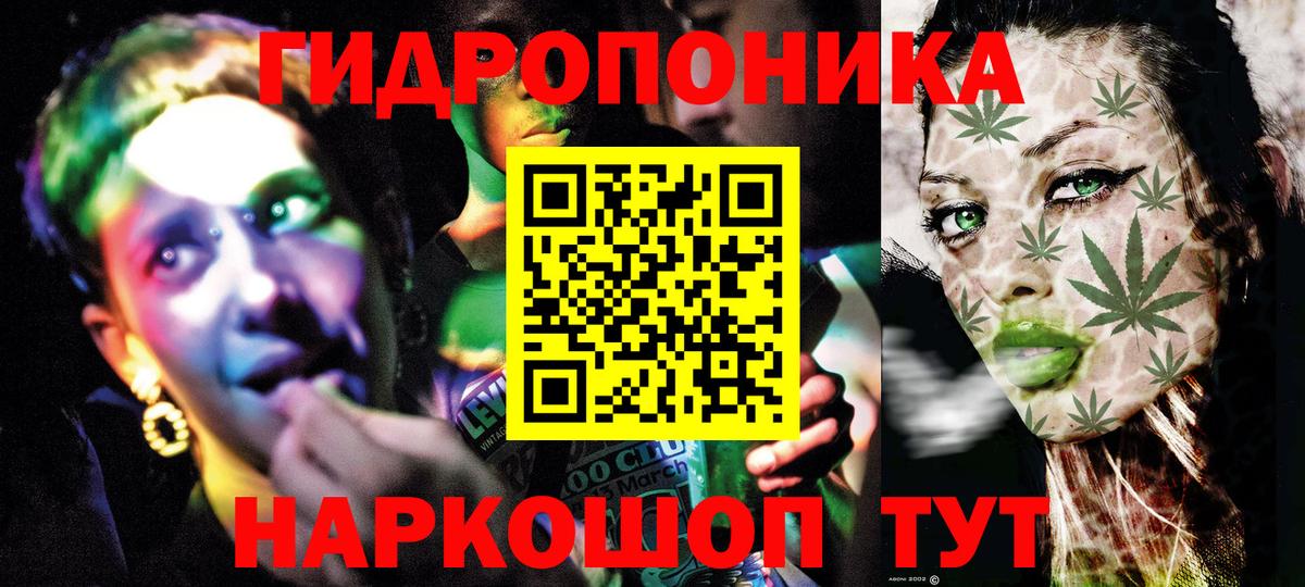 Конопля ГИДРОПОН  Каннабис White Widow  Нижнеудинск  Конопля AK-47  Канабис конопля  Вход с VPN 